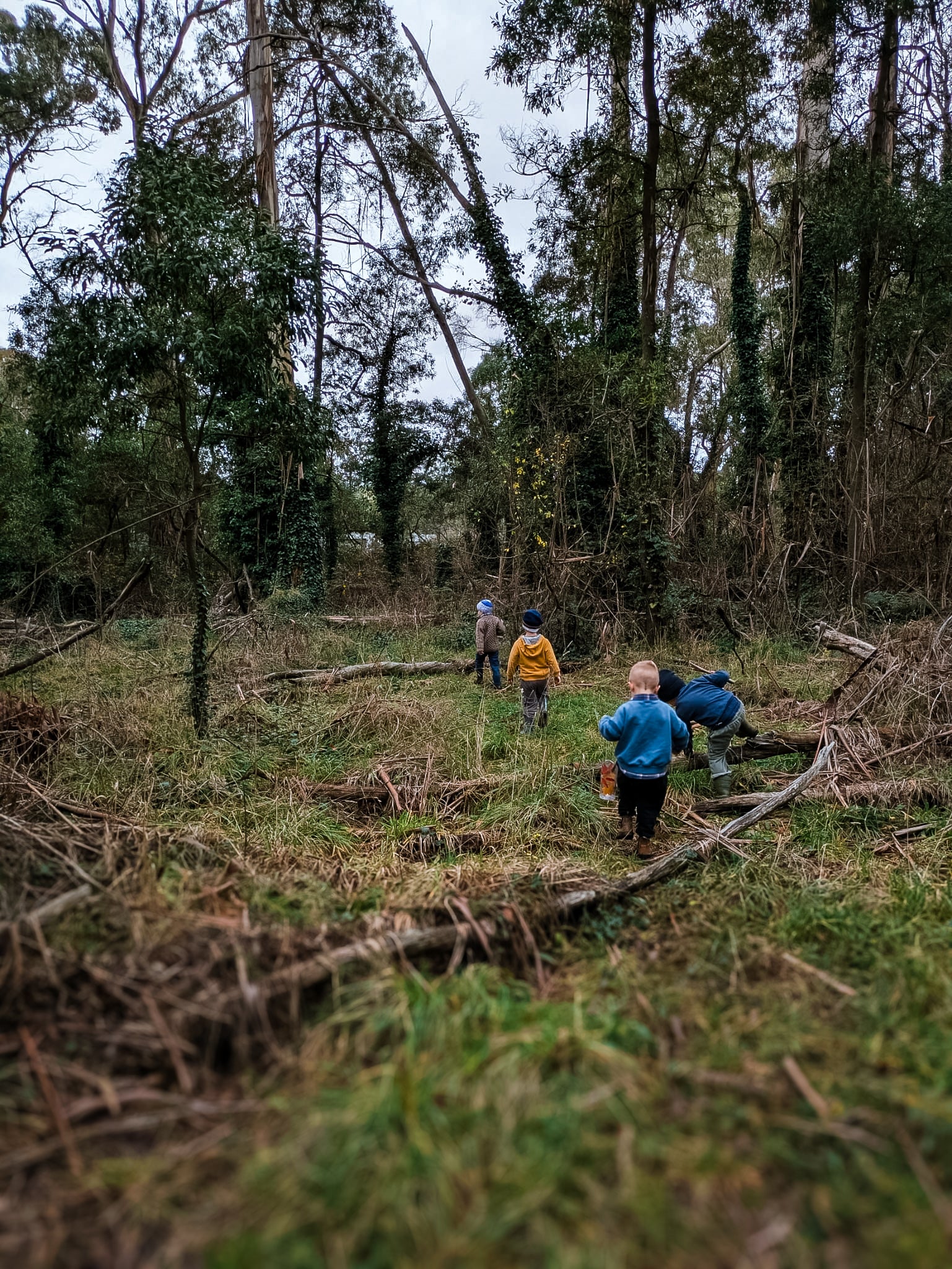 The Ultimate Playground